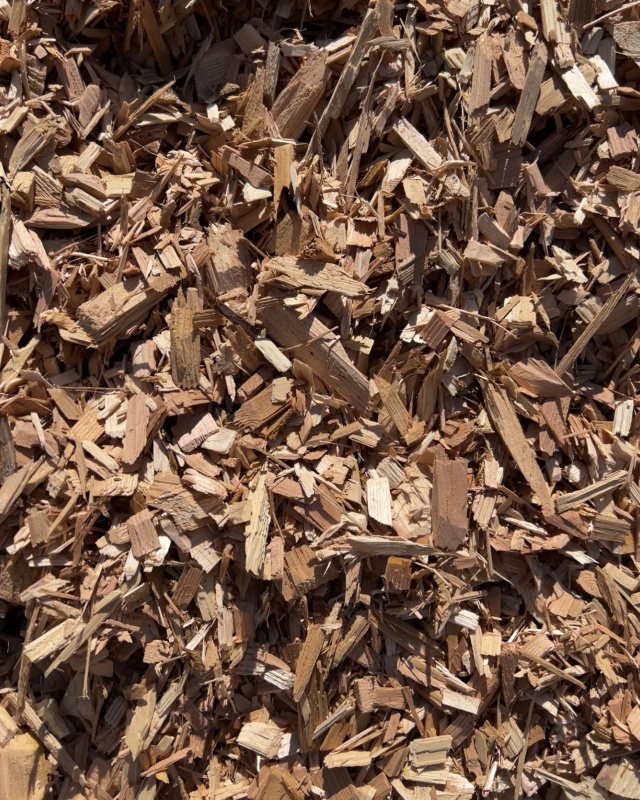 Cedar Chips