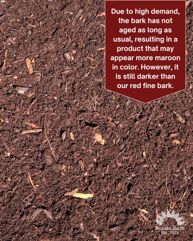 Dark Fine Bark