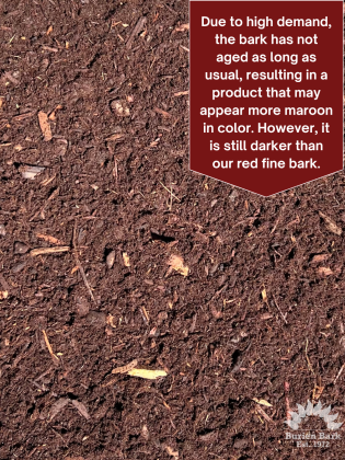 Dark Fine Bark