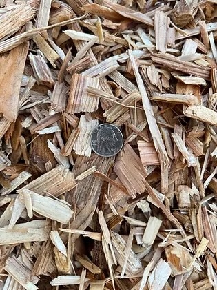 Cedar Chips