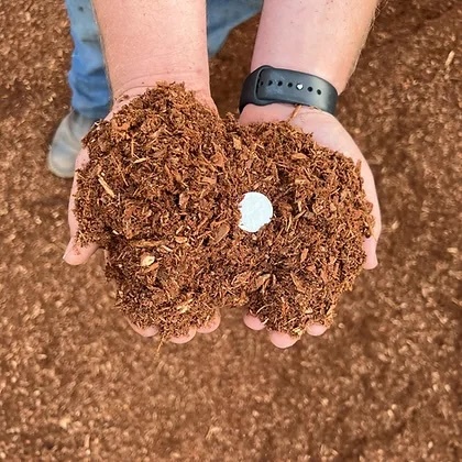 Red Fine Bark