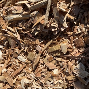 Cedar Chips