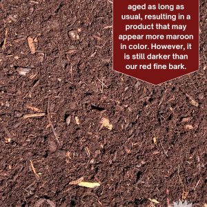 Dark Fine Bark